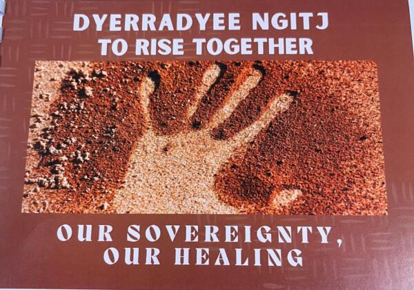 Our Sovereignty Our Healing