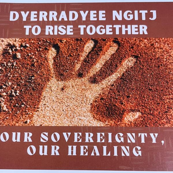 Our Sovereignty Our Healing