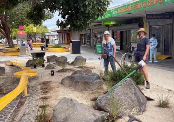 Lab Square X The Paddock Plants